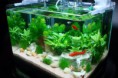 /album/galeria-de-fotos/aquario-jpg/